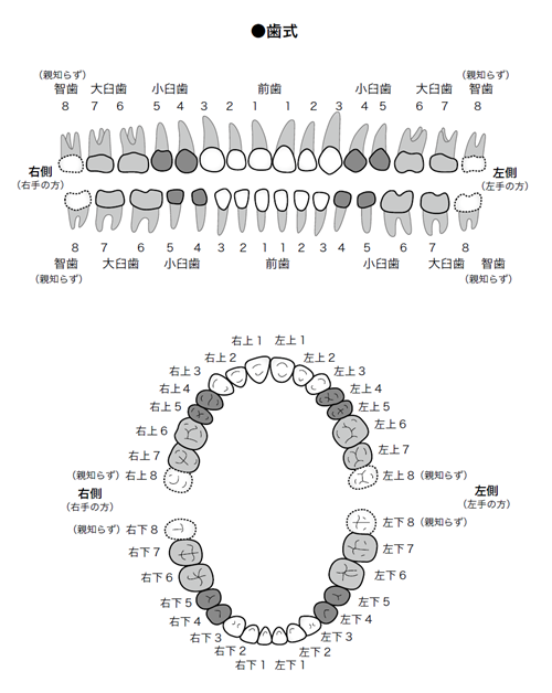 dental