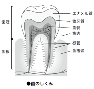 dental1210